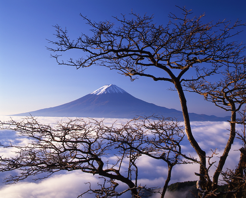 秋の富士山02