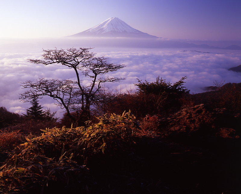 冬の富士山03