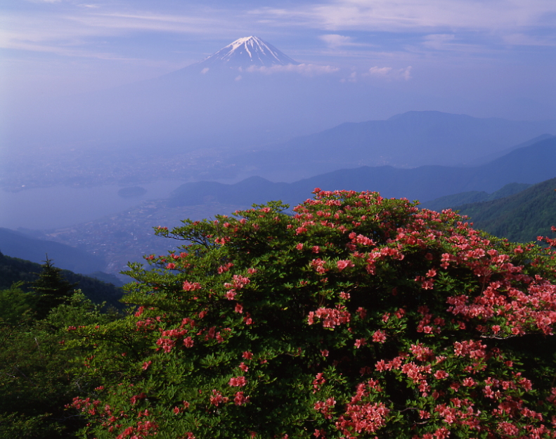 夏の富士山01