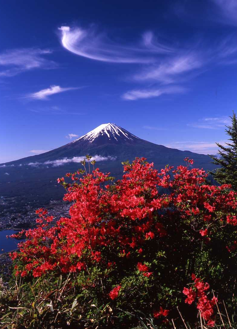 夏の富士山02