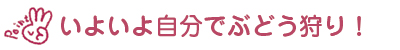 いよいよ自分でぶどう狩り！