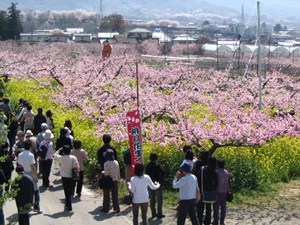 サンプル