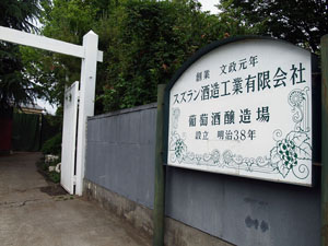 サンプル