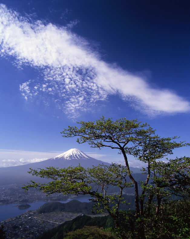 春の富士山01