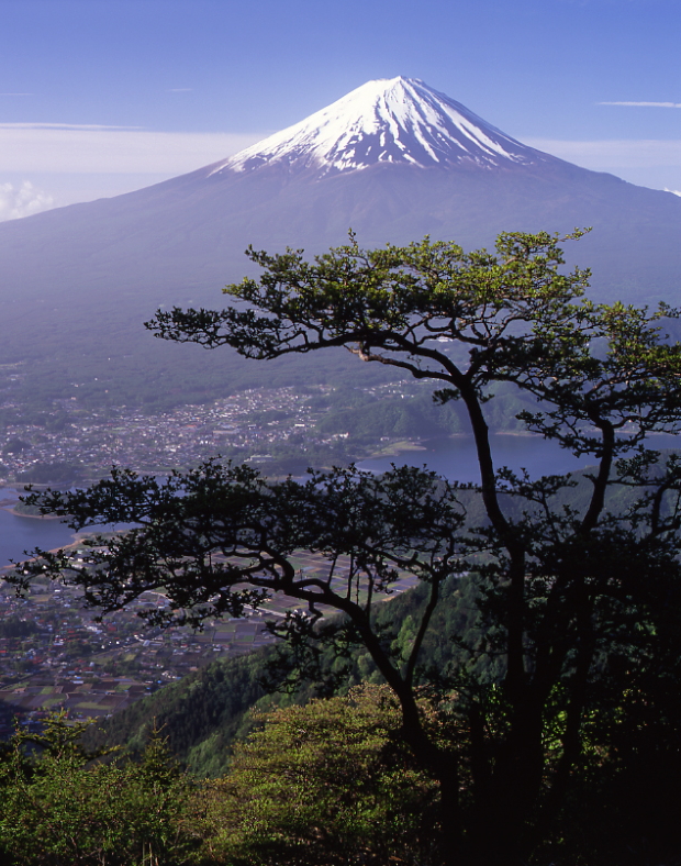 春の富士山02