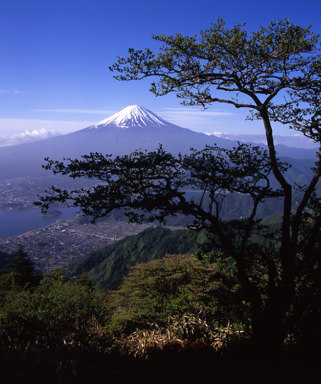 春の富士山03