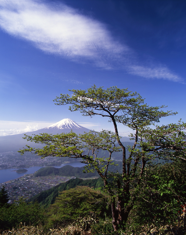 春の富士山04