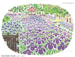 ６月｜城北菖蒲園の花菖蒲（大阪府）