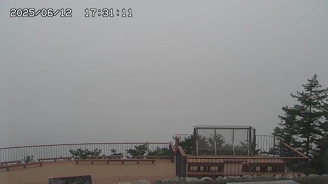 06/12 17:31