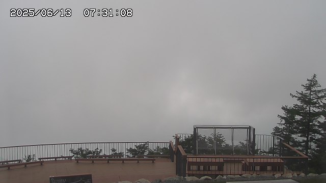 06/13 07:31