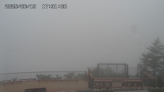 06/13 17:31