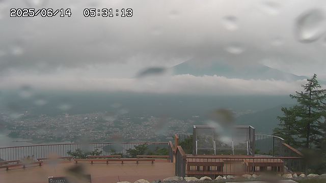 06/14 05:31