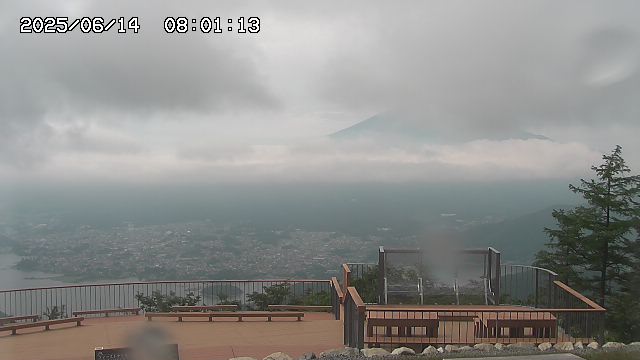 06/14 08:01