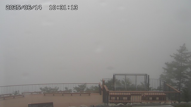 06/14 10:31