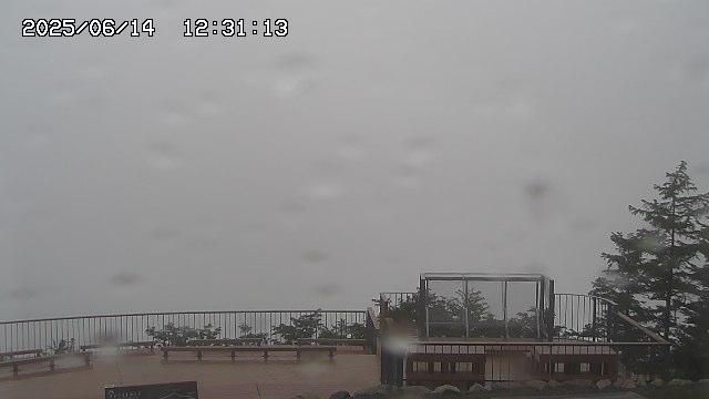 06/14 12:31