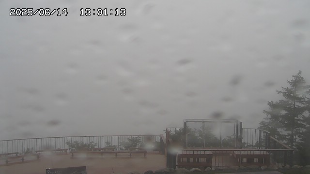 06/14 13:01