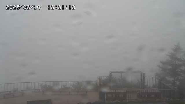 06/14 13:31