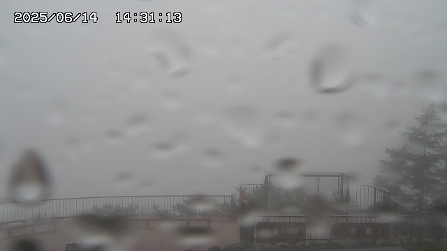 06/14 14:31