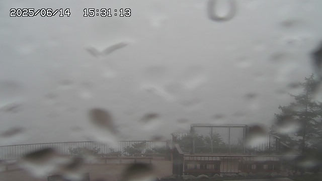 06/14 15:31