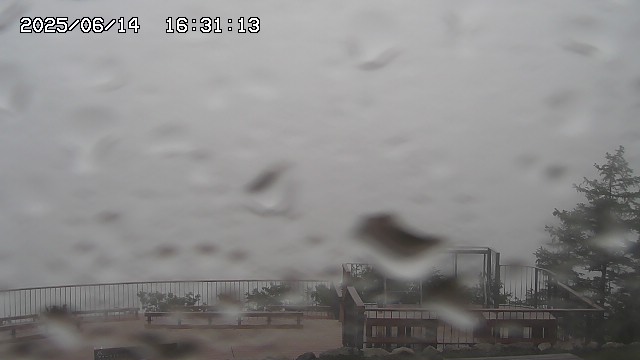 06/14 16:31