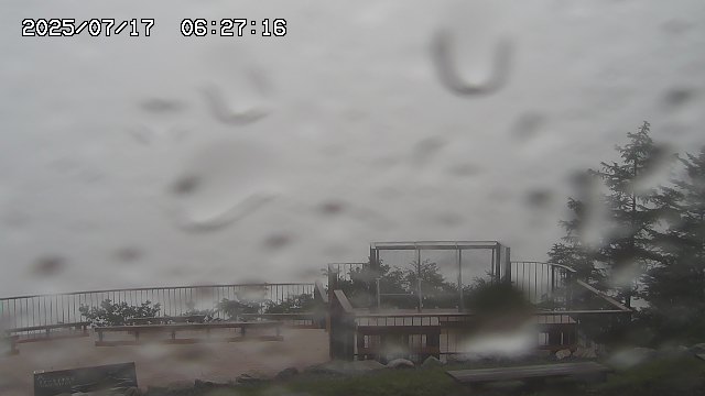 07/17 06:27