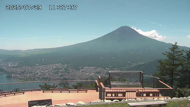 07/29 11:28