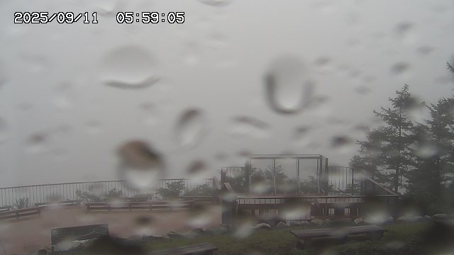 09/11 05:59