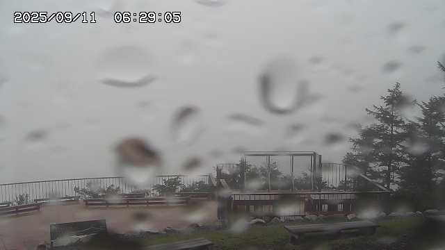 09/11 06:29