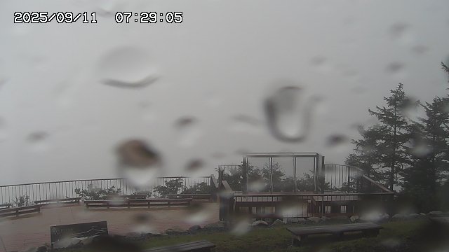 09/11 07:29