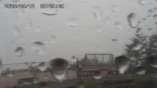 09/12 08:29