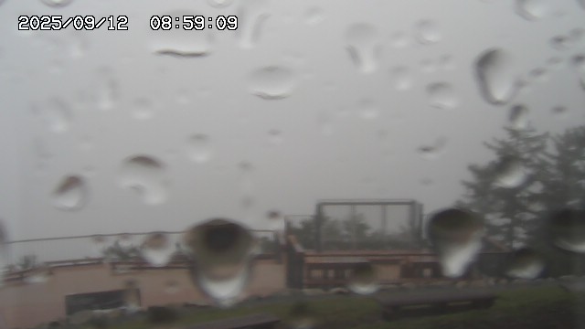 09/12 08:59