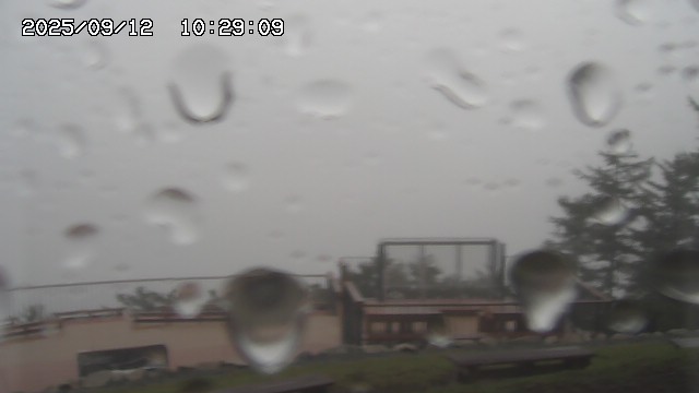 09/12 10:29