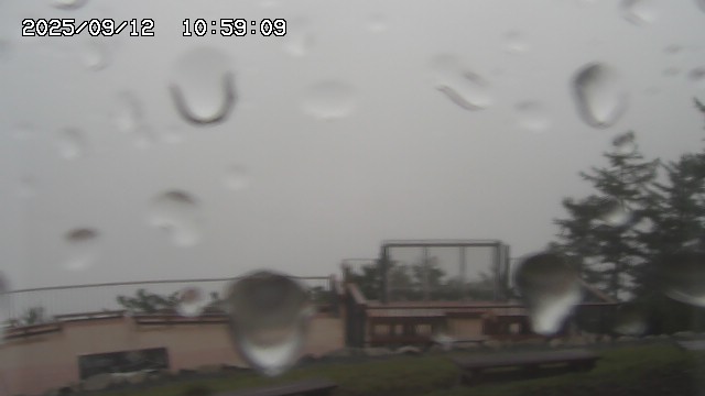 09/12 10:59