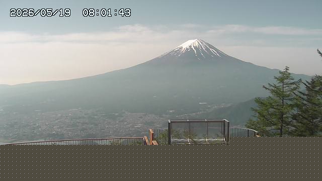 05/19 08:02