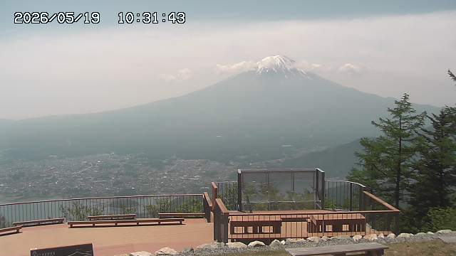 05/19 10:31