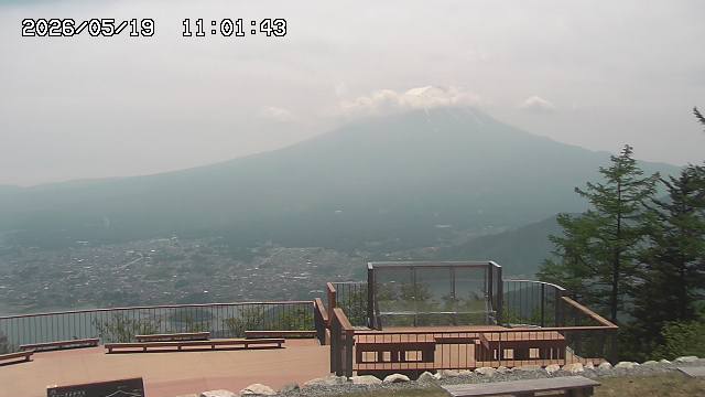 05/19 11:01