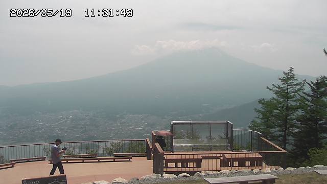 05/19 11:31