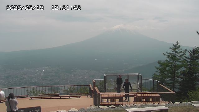 05/19 12:31