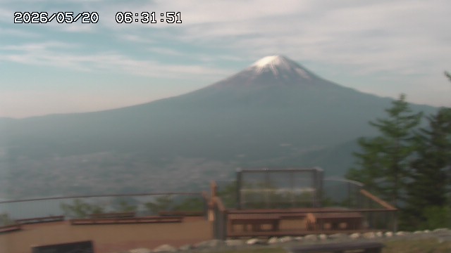 05/20 06:31