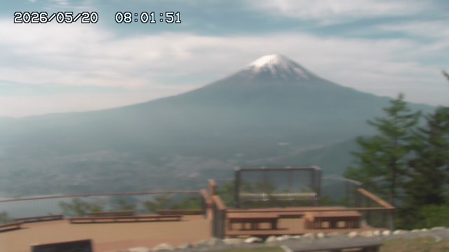 05/20 08:01