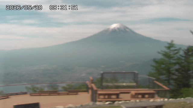 05/20 08:31