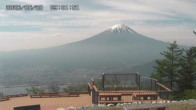 05/20 09:01