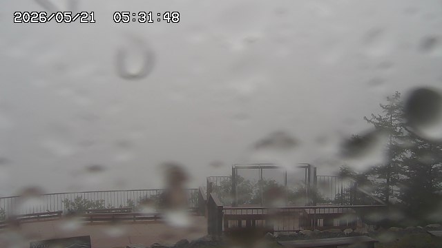 05/21 05:31