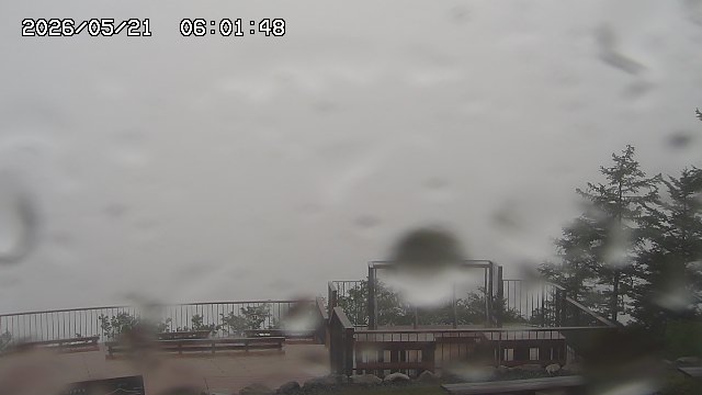 05/21 06:01