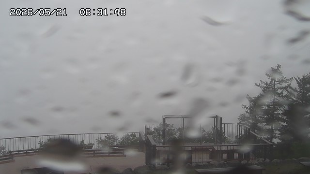 05/21 06:31