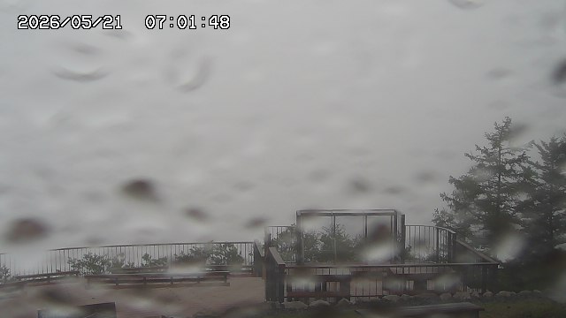 05/21 07:01