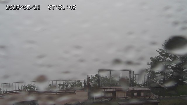 05/21 07:31