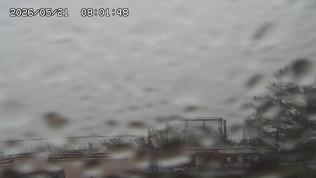 05/21 08:01