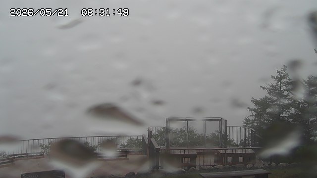 05/21 08:31