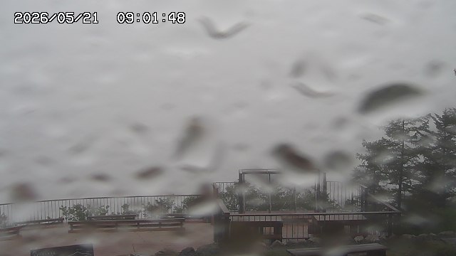 05/21 09:01